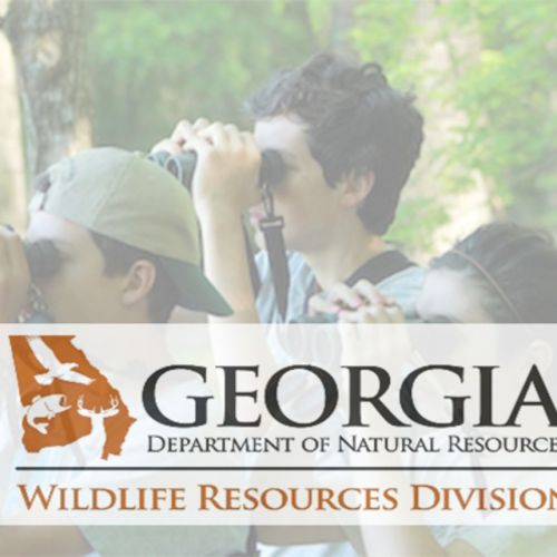 Nuevos proyectos de observación de vida silvestre reciben subvenciones; Departamento de Recursos Naturales de Georgia