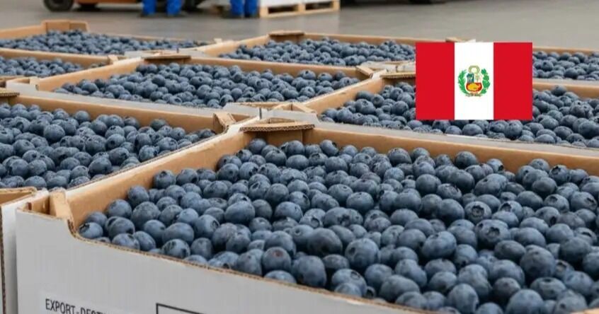 El 'oro azul' peruano llegará por primera vez a estos países de Asia: es el producto estrella de las exportaciones