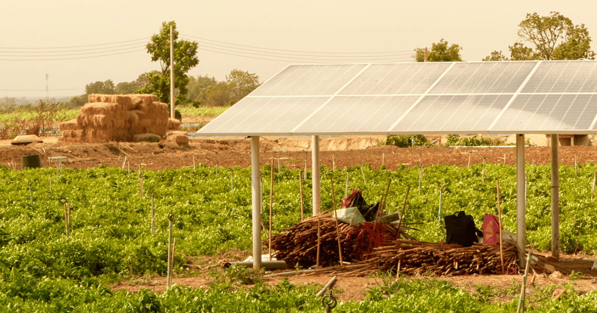 La Alianza Solar Internacional (ISA) revela el futuro de la energía solar y anuncia a los ganadores del SolarX Startup Challenge Latinoamérica y el Caribe en la COP30